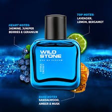 Wild Stone  Hydra Energy Perfume